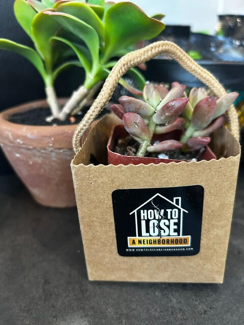 Book-branded gift bag and plants at the launch